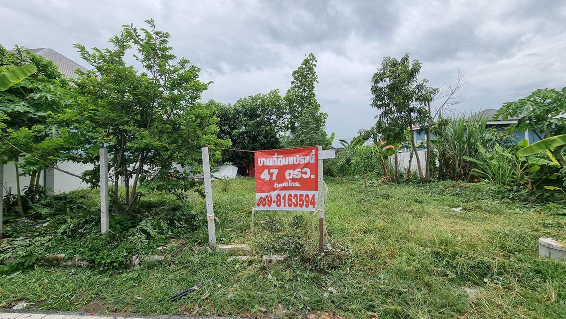 ที่ดินเปล่าถมแล้ว 47 ตารางวา 