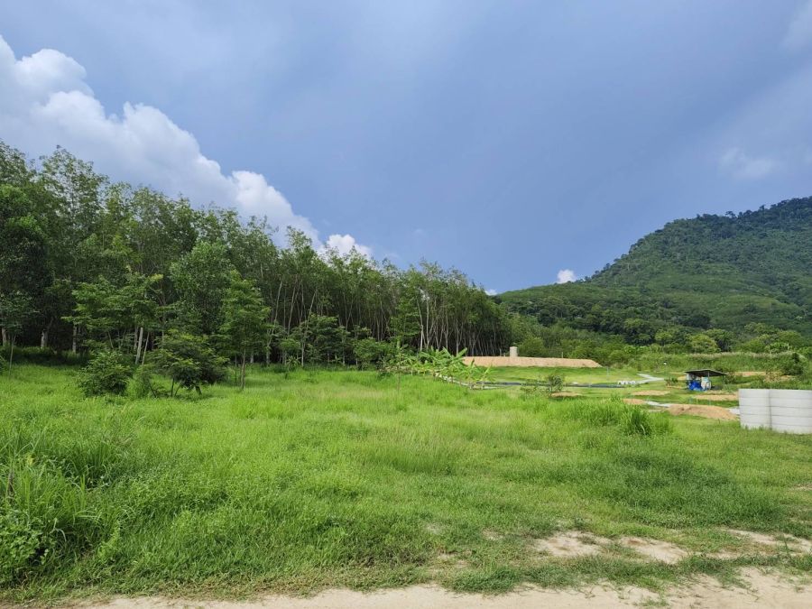 ที่ดินเปล่า 25 ไร่ 2 แปลง ติดถนนใหญ่ 12 เมตร