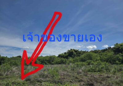 1-1