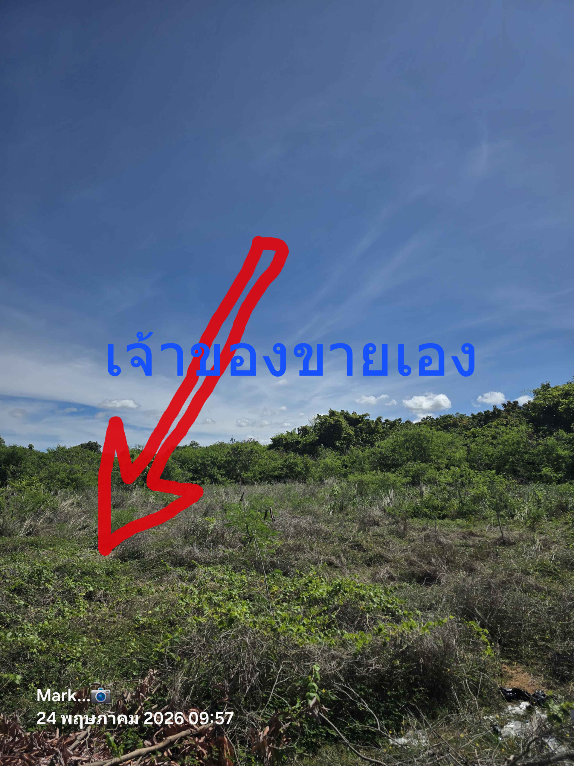 ขายที่ดิน ด่วน
