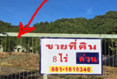 ขายที่ดินด่วน ทำเลดีสุดๆ