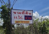 ขายที่ดิน ด่วน