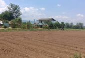 ที่ดินทำเลดี