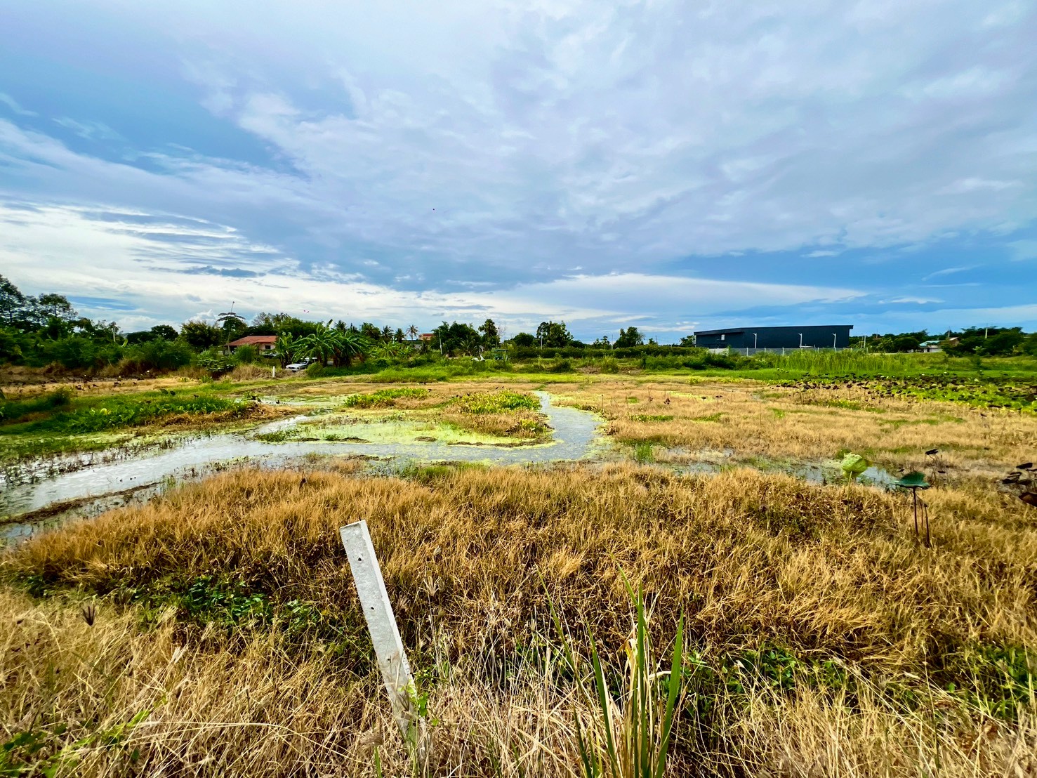 ขายที่ดินทำเลสวยใกล้ทะเล เหมาะสำหรับนักลงทุนเพื่อทำหมู่บ้าน