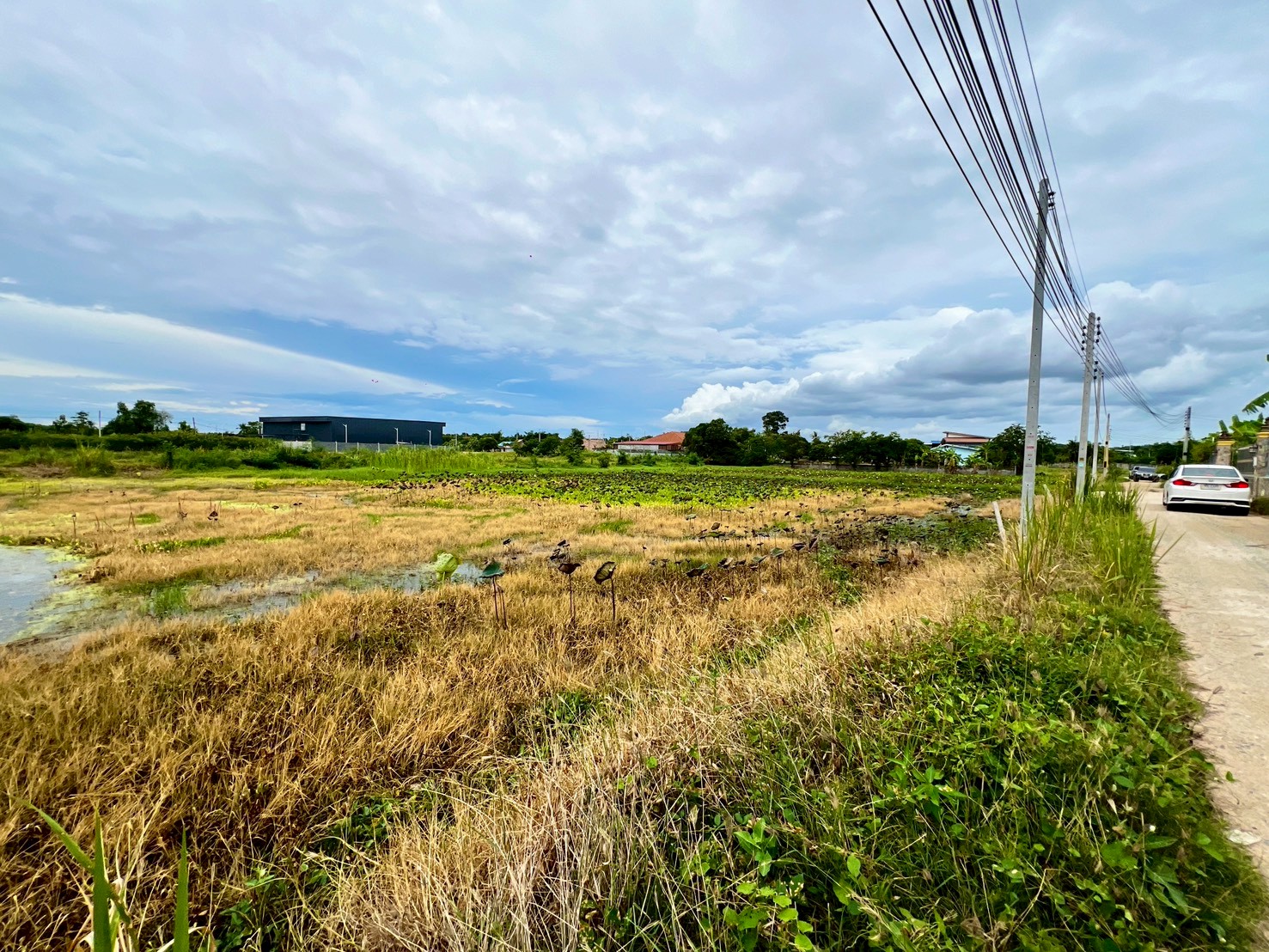 ขายที่ดินทำเลสวยใกล้ทะเล เหมาะสำหรับนักลงทุนเพื่อทำหมู่บ้าน